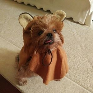 Meet your Posher, Gabriella